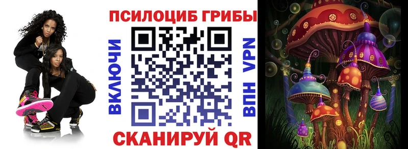 Галлюциногенные грибы Psilocybe  hydra как войти  Кандалакша  купить  