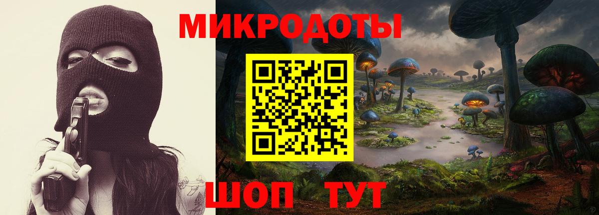 Галлюциногенные грибы прущие грибы  Галлюциногенные грибы Psilocybine cubensis  Кандалакша  Вход с VPN 